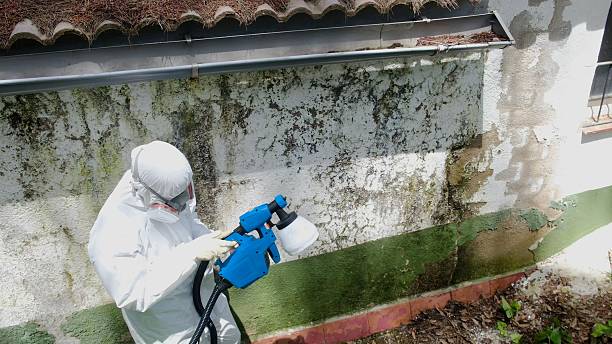 Trusted Crawl Space Mold Removal service in North Bend, PA - Cheap Mold Removal
